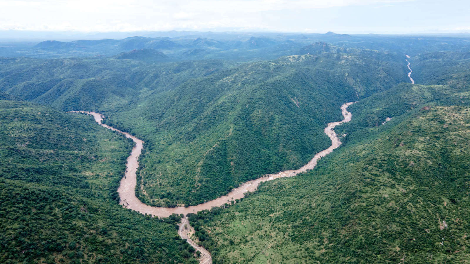 Wildlife photography